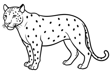jaguar line art, jaguar outline vector illustration