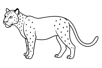 jaguar line art, jaguar outline vector illustration