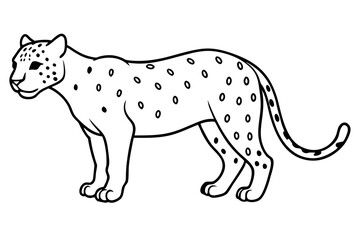 jaguar line art, jaguar outline vector illustration