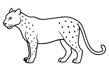 jaguar line art, jaguar outline vector illustration