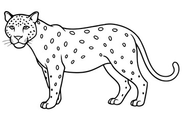 jaguar line art, jaguar outline vector illustration