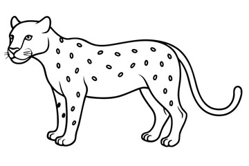 jaguar line art, jaguar outline vector illustration