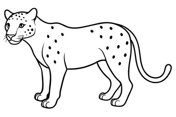 jaguar line art, jaguar outline vector illustration