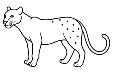jaguar line art, jaguar outline vector illustration