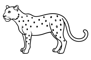 jaguar line art, jaguar outline vector illustration