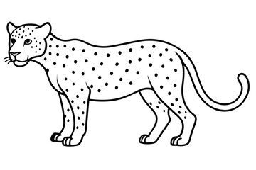 jaguar line art, jaguar outline vector illustration