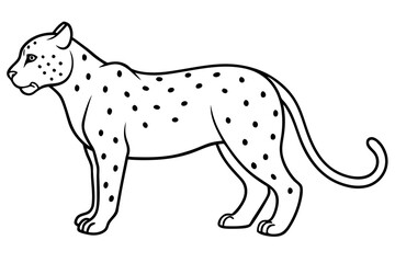 jaguar line art, jaguar outline vector illustration