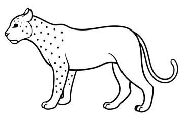 jaguar line art, jaguar outline vector illustration