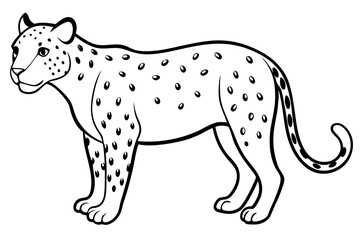 jaguar line art, jaguar outline vector illustration