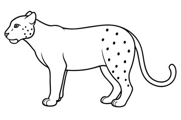 jaguar line art, jaguar outline vector illustration