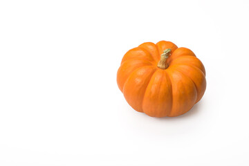 Mini pumpkin isolated on white background. Copy space.