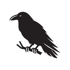 Obraz premium Raven Bird Vector Illustration in black and white - Raven Clipart Design 