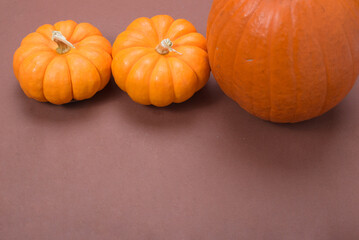 Decorative pumpkins with brown background. Copy space.