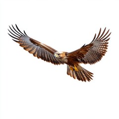 Fototapeta premium Black Kite on White Background in Artistic Style