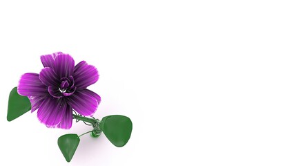 A delicate purple flower with a twisted green stem and broad leaves, standing tall on a clean white background. The image symbolizes nature, simplicity, and beauty.