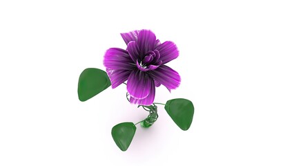 A delicate purple flower with a twisted green stem and broad leaves, standing tall on a clean white background. The image symbolizes nature, simplicity, and beauty.