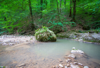 shallow mountain river, staritsa and nature walks, spring day
