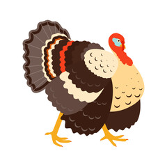 Turkey isolated on white background. Thanksgiving theme. Vector graphics are ideal for cards, posters, emblems, signs, postcards. Flat style.