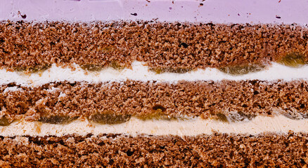 Delicious cake layers showing filling and frosting close up