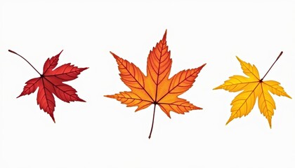 Fototapeta premium Autumns Palette A trio of leaves in hues of red orange and yellow