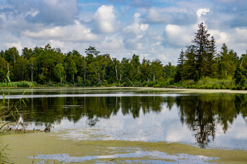 Lake landscape at Pfrunger Ried, Germany