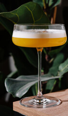 Yellow cocktail standing on bar with tropical plants background