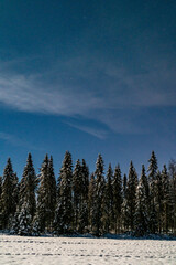 polar lights in Rovaniemi Lapland Finland on a old snowy night