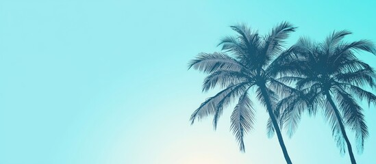 Fototapeta premium Silhouette of palm trees against a vibrant summer gradient on a light blue backdrop embodying a tropical vacation and travel theme
