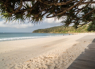 Wide tree shot of Noosa main beach footpath towards the national park in Noosa Heads, Queensland, Australia © DANE