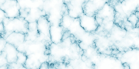 Natural stone Marble white background wall surface black pattern. White and black marble texture background. Luxurious material interior or exterior design.	