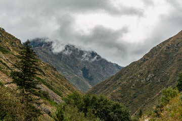 Naklejka premium landscape with clouds