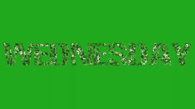 Growing flowers and leaves in weekdays on green screen background