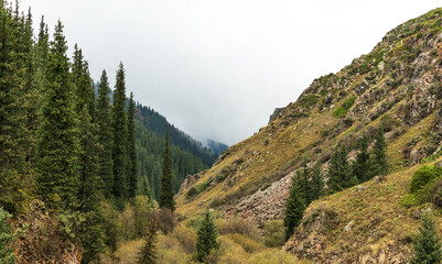 Obraz premium view from the top of mountain