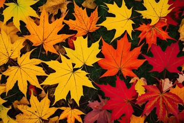 Fototapeta premium Stunning Autumn Foliage in Bright Orange Yellow and Red Leaves