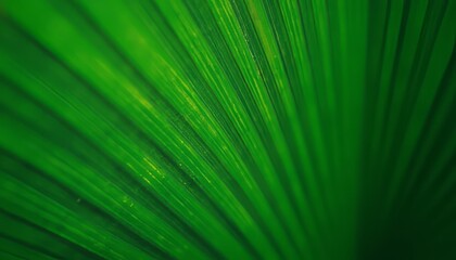 A detailed close-up of a vibrant green palm leaf, showcasing its natural texture and veins. The image highlights the beauty and patterns of nature.