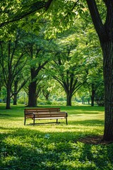 A park bench sits amidst lush greenery