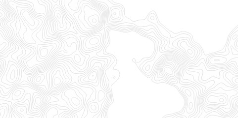 Lines map seamless topographic contour lines vector pattern. Geographic map and topographic contours map background. Vector illustration. White wave paper reliefs.