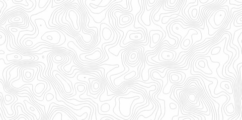 Lines map seamless topographic contour lines vector pattern. Geographic map and topographic contours map background. Vector illustration. White wave paper reliefs.