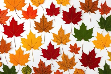 Fototapeta premium Vibrant Autumn Leaves Showcase on White Background in Seasonal Hues