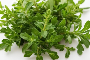 Obraz premium Oregano Herb Isolated on White Background for Cooking and Culinary Applications