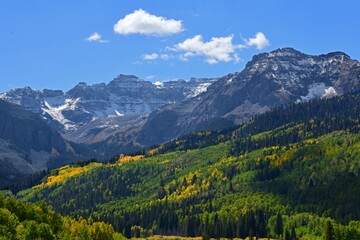 changing aspen trees and snow capped- peaks of the dallas divide in the san juan mountains  on a sunny fall day  along east dallas creek road, off highway 62, near ridgway, colorado