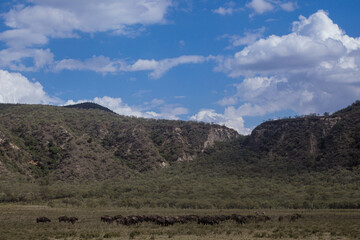 Hell's Gate National Park is a national park situated near Lake Naivasha in Kenya. The park is named after a narrow break in the cliffs, once a tributary of a prehistoric lake that fed early humans in