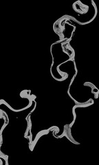 Abstract Black and White Swirl Pattern with a Grunge and Textured Aesthetic