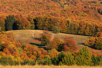 Fototapeta premium Beautiful autumn landscape around Lake St. Anna in Romania.