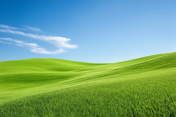Obraz premium Beautiful green grass hill and blue sky on sunny day. Nature, wallpaper and background. Copy space