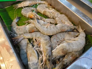 Raw prawns in tray at seafood market. Fresh raw shrimp. Sea food concept