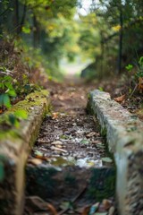 A stone bench sits solitary in the midst of a dense forest, surrounded by towering trees
