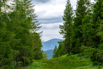 Wanderweg zu den blauen Bergen