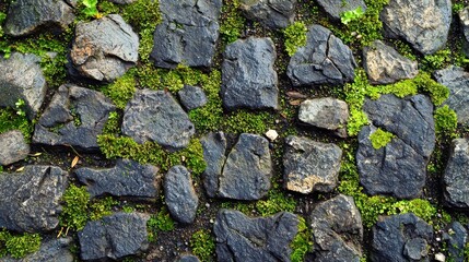 An irregular cobblestone texture featuring moss in the cracks, exuding old-world charm and rustic appeal, perfect for backgrounds and vintage design