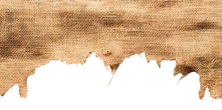 Torn burlap isolated on transparent background